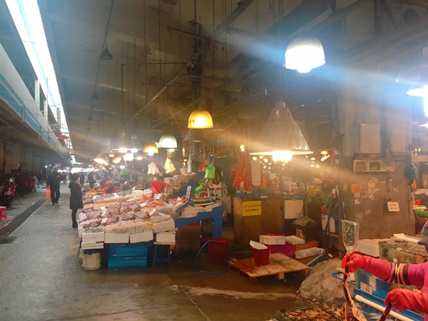 IMG_4178-1.JPG IMG_4178-1.JPG