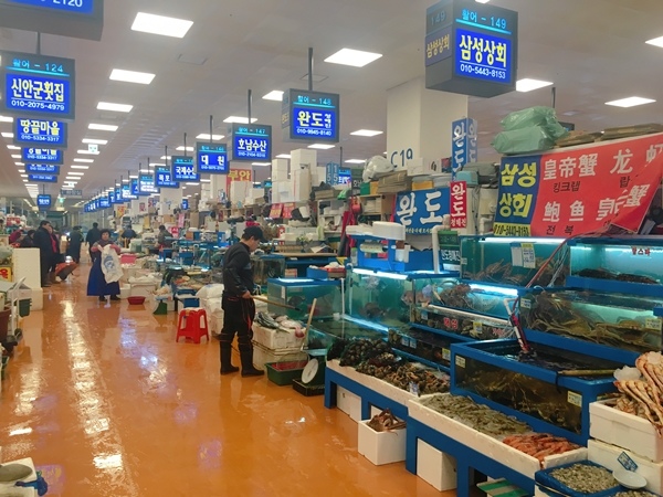 IMG_4193-1.JPG IMG_4193-1.JPG