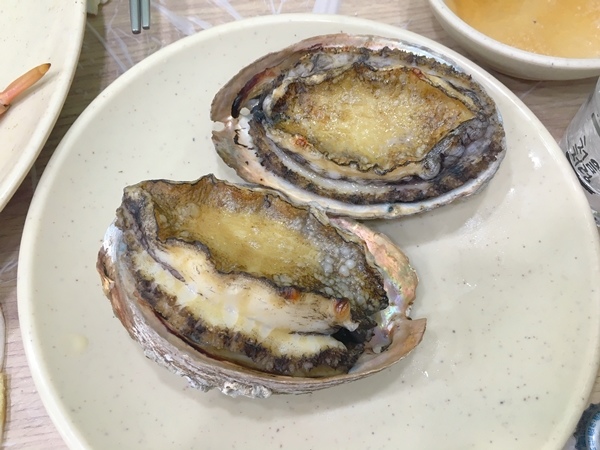 IMG_4229-1.JPG IMG_4229-1.JPG