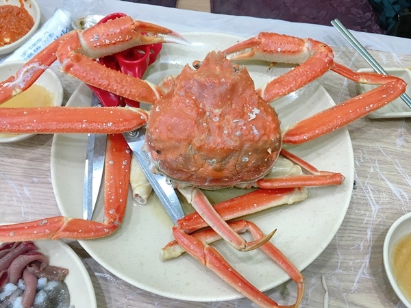 IMG_4226-1.JPG IMG_4226-1.JPG