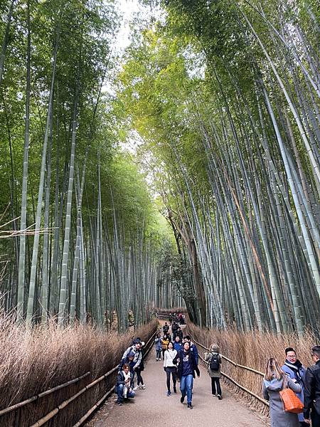 19冬 京都 岚山半日游 清水寺 9个景点 美食清单分享 皮皮旅行 19冬 京都 岚山半日游 清水寺 9个景点 美食清单分享 皮皮旅行