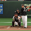 Professional BaseBall Spirits 2015_2