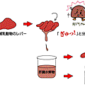 肝臟水解物 