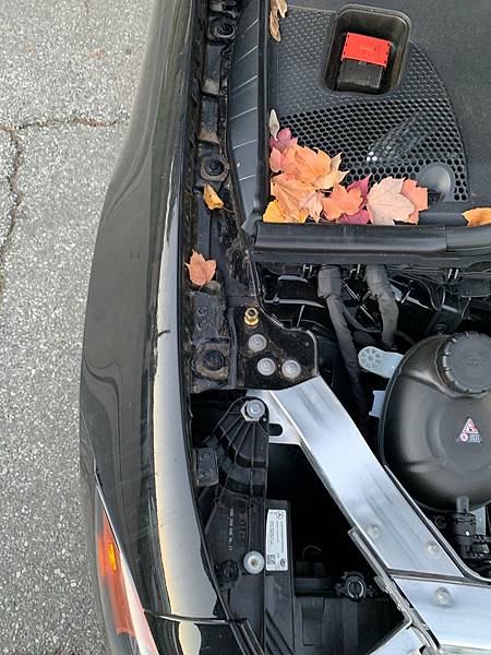 LINE_ALBUM_2019 Mercedes Benz CLS450 VINKA037772_220124_8