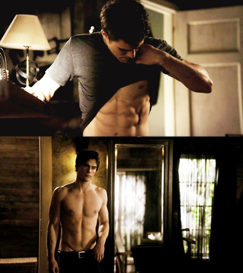 Sexy-Salvatores-the-vampire-diaries-tv-show-18732000-500-563