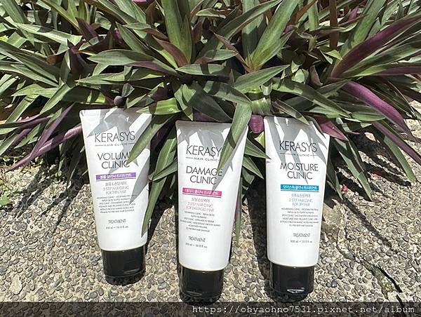 [護髮素] 可瑞絲KERASYS 植萃系抗損護髮素