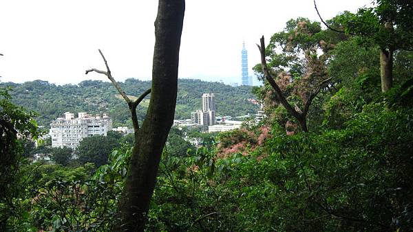 IMG_2914.JPG IMG_2914.JPG