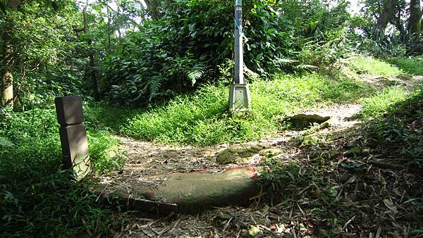 IMG_2916.JPG IMG_2916.JPG