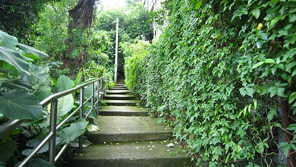 IMG_2895.JPG IMG_2895.JPG