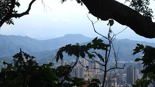 IMG_2924.JPG IMG_2924.JPG