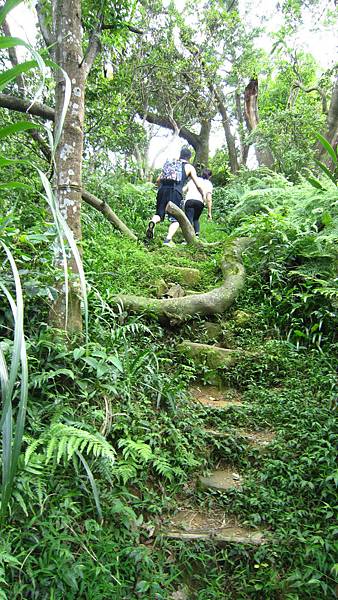 IMG_2920.JPG IMG_2920.JPG