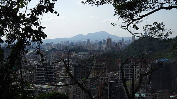 IMG_2935.JPG IMG_2935.JPG