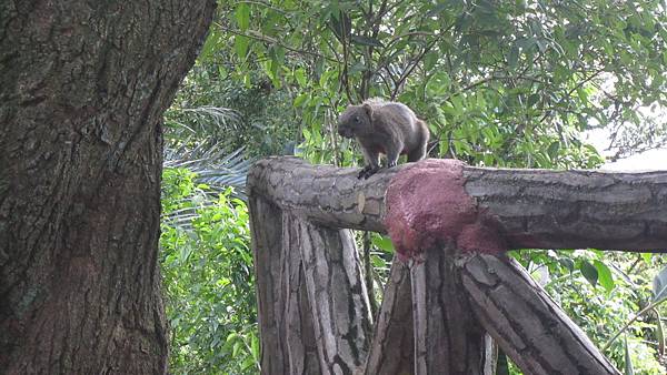 IMG_2947.JPG IMG_2947.JPG