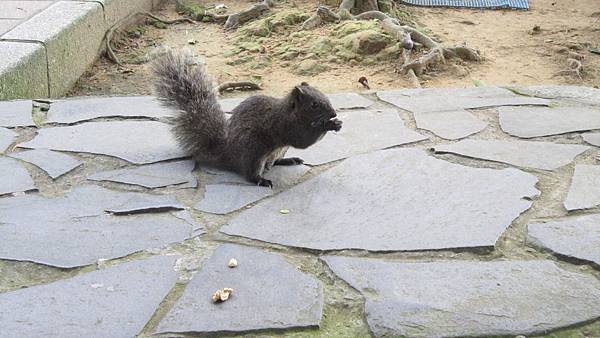 IMG_2953.JPG IMG_2953.JPG