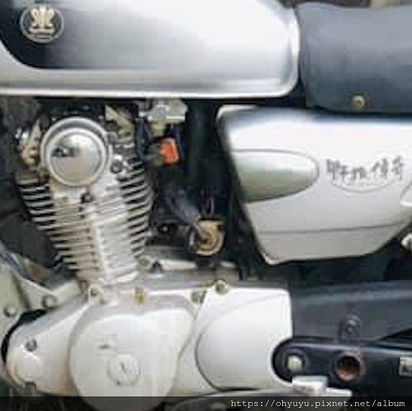 野狼油杯開關 野狼油杯開關