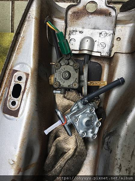 野狼油杯開關 野狼油杯開關