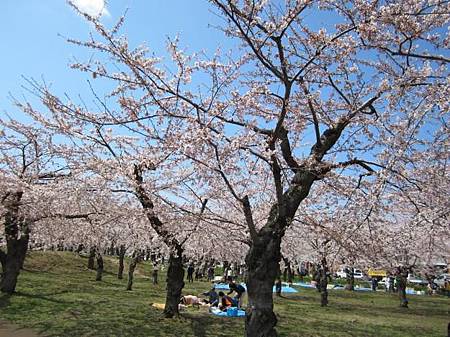 991 北海道文教大學 張君威