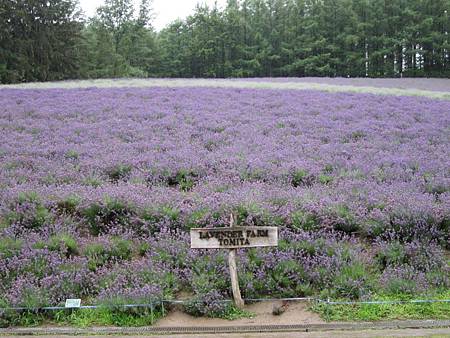 991 北海道文教大學 張君威