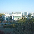 Daegu 3.jpg