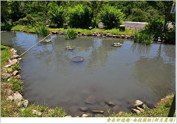 DSC_4512 (27) DSC_4512 (27)