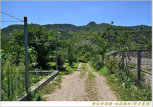 DSC_4512 (26) DSC_4512 (26)