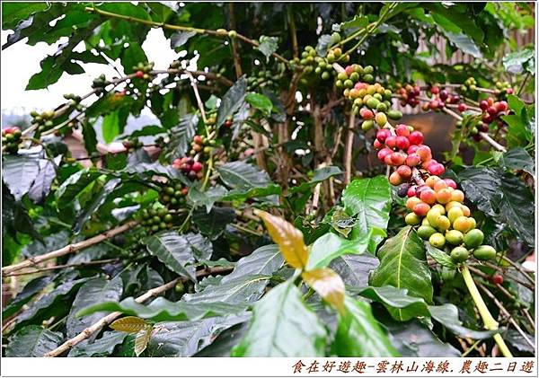 catss (21) catss (21)