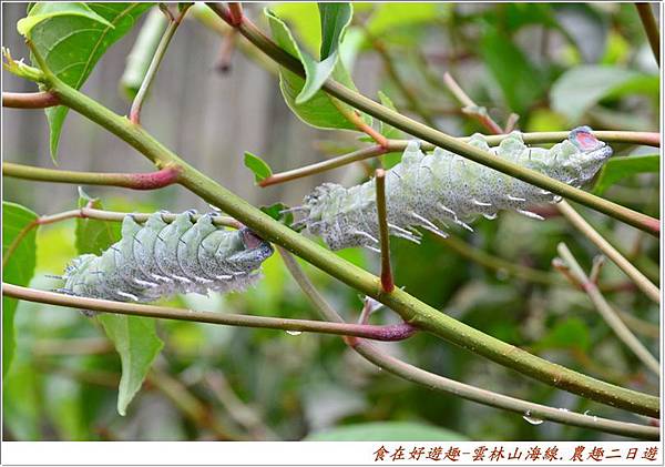 catss (22) catss (22)