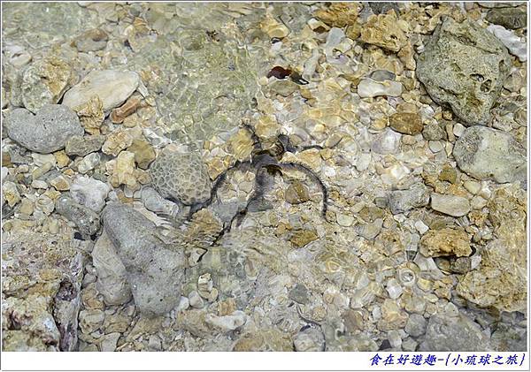 DSC_6444 (30) DSC_6444 (30)