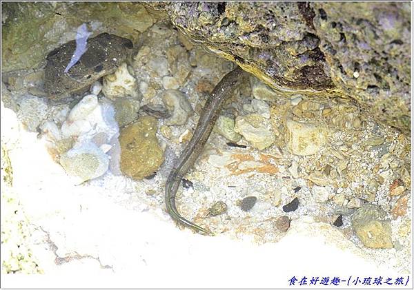 DSC_6444 (31) DSC_6444 (31)