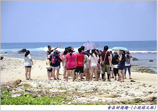 DSC_6444 (40) DSC_6444 (40)