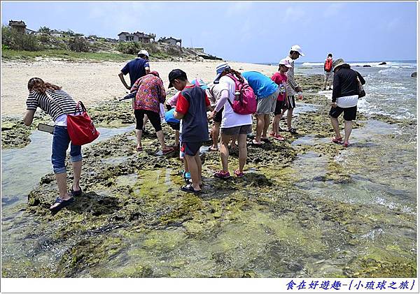 DSC_6444 (42) DSC_6444 (42)