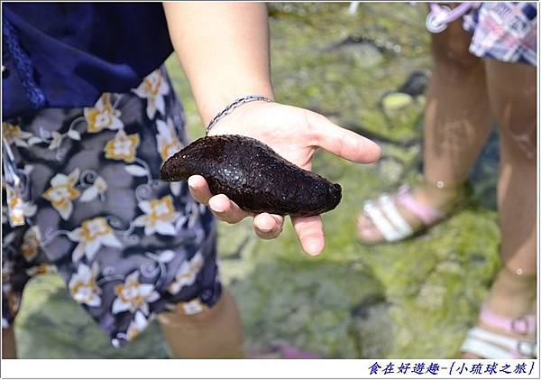 DSC_6444 (44) DSC_6444 (44)