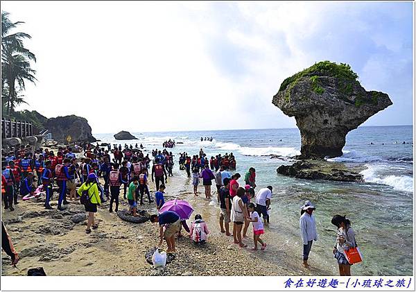 DSC_6444 (48) DSC_6444 (48)