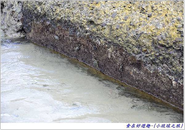 DSC_6444 (45) DSC_6444 (45)