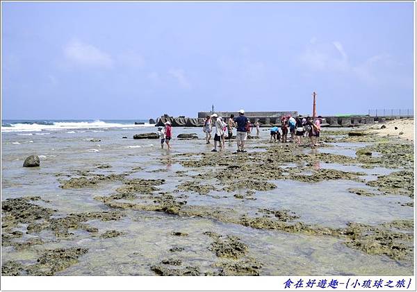 DSC_6444 (43) DSC_6444 (43)