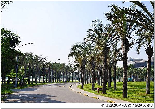 DSC_9888 (25) DSC_9888 (25)