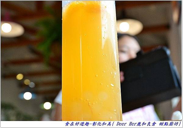 CSC_3800 (32) CSC_3800 (32)