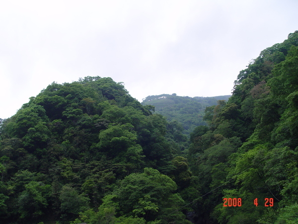 往廬山山上青翠的山頭