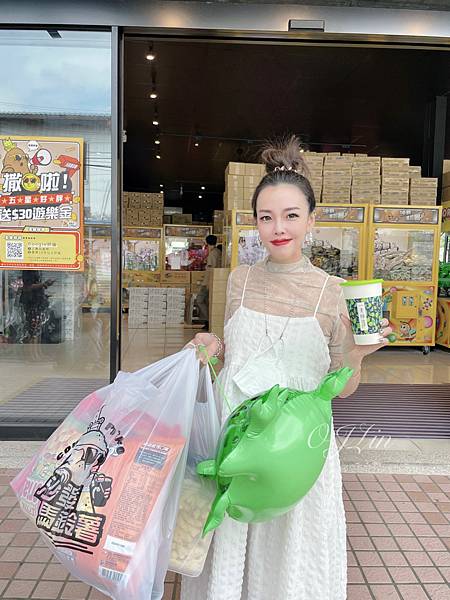 ( 🧸,🛒 ) 大里一日遊怎麼玩?好吃的海南雞飯還有1000