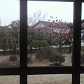 2011040217420002.JPG