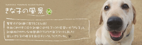 1226-1.gif 1226-1.gif