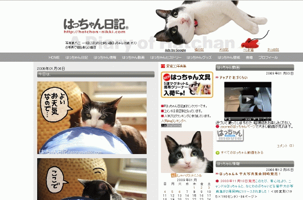 5.gif 5.gif