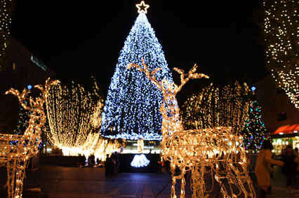 xmas.jpg xmas.jpg