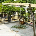 DSC07829 拷貝.jpg