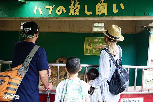 20190705高山峰-沖繩玉泉洞