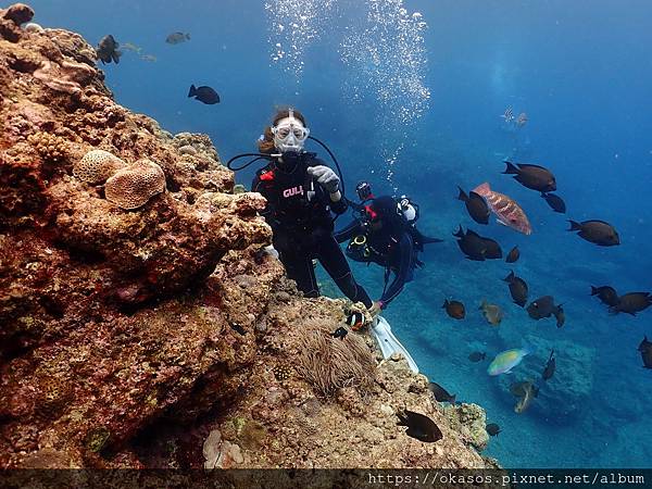 青潛bestdiveokinawa