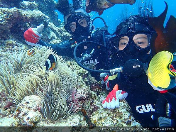 沖繩 青潛BESTDIVE