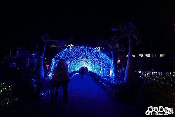 東南植物園  冬天燈光秀