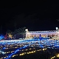 東南植物園  冬天燈光秀