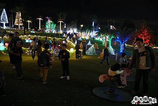 東南植物園  冬天燈光秀